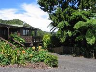 Lone Kauri Lodge